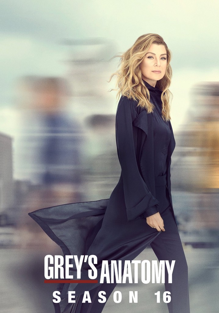 Grey's Anatomy Season 16 watch episodes streaming online